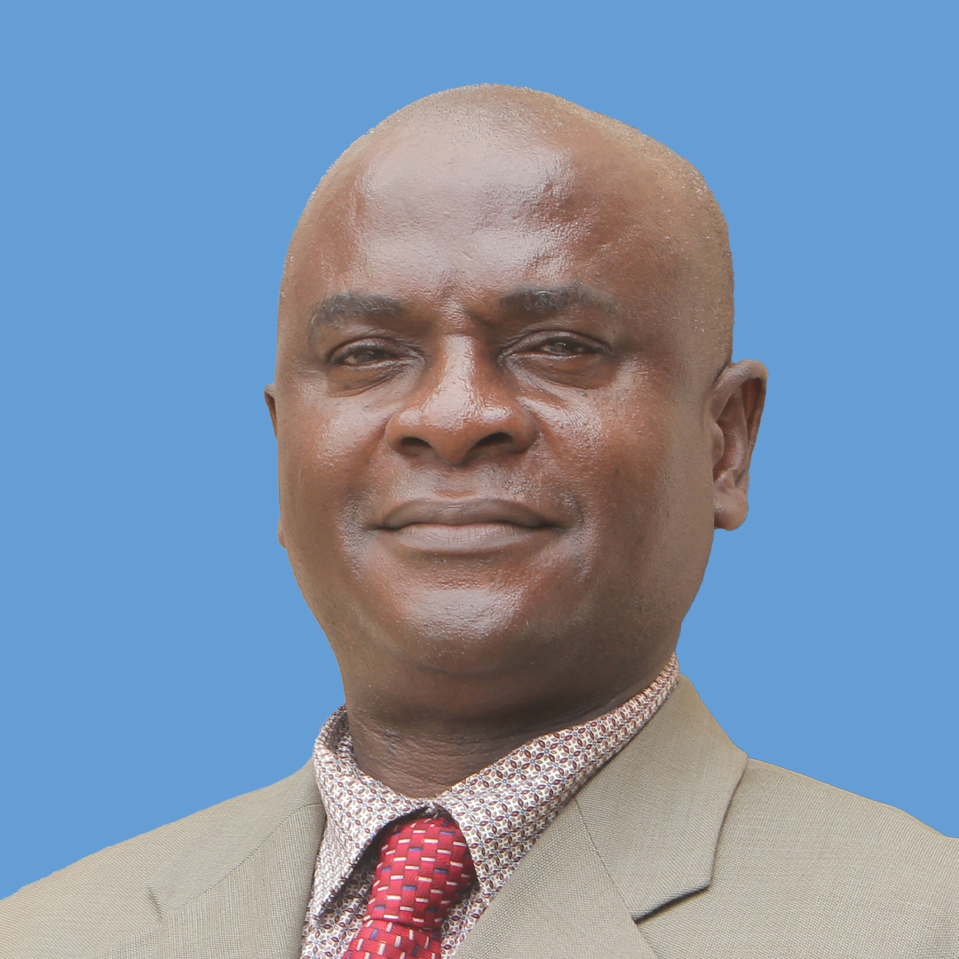 Prof. George Adu